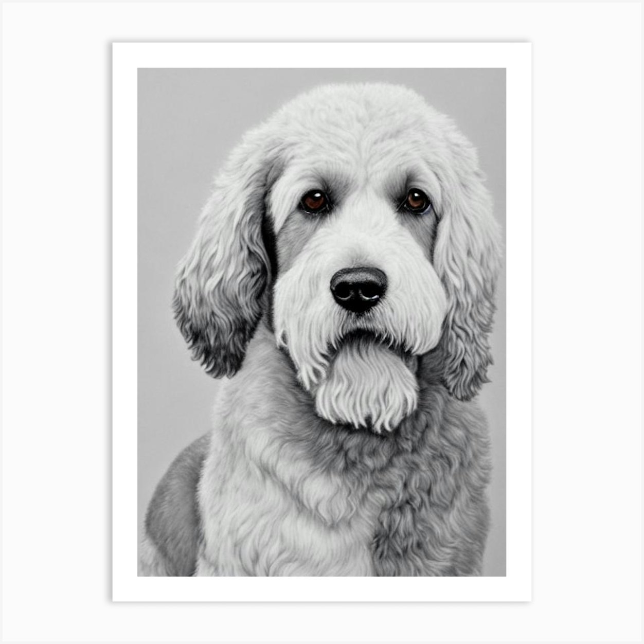 Irish Water Spaniel B&W Pencil Dog Art Print by Pooch Prints - Fy