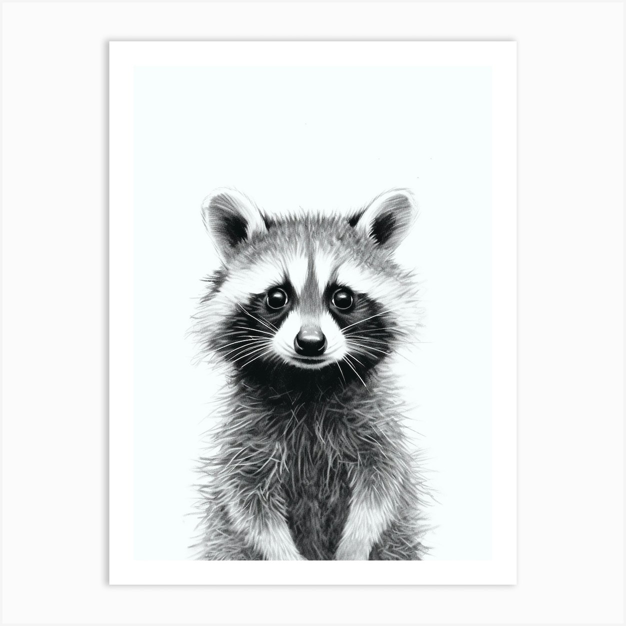 Raccoon Black And White Illustration 2 Art Print by Snazzy Bandits - Fy