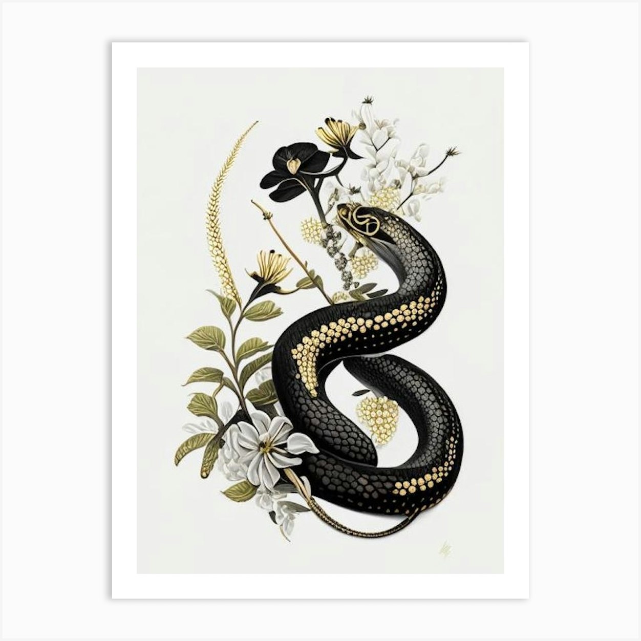 Black Moccasin Snake Gold And Black Art Print by The Snake Pit - Fy