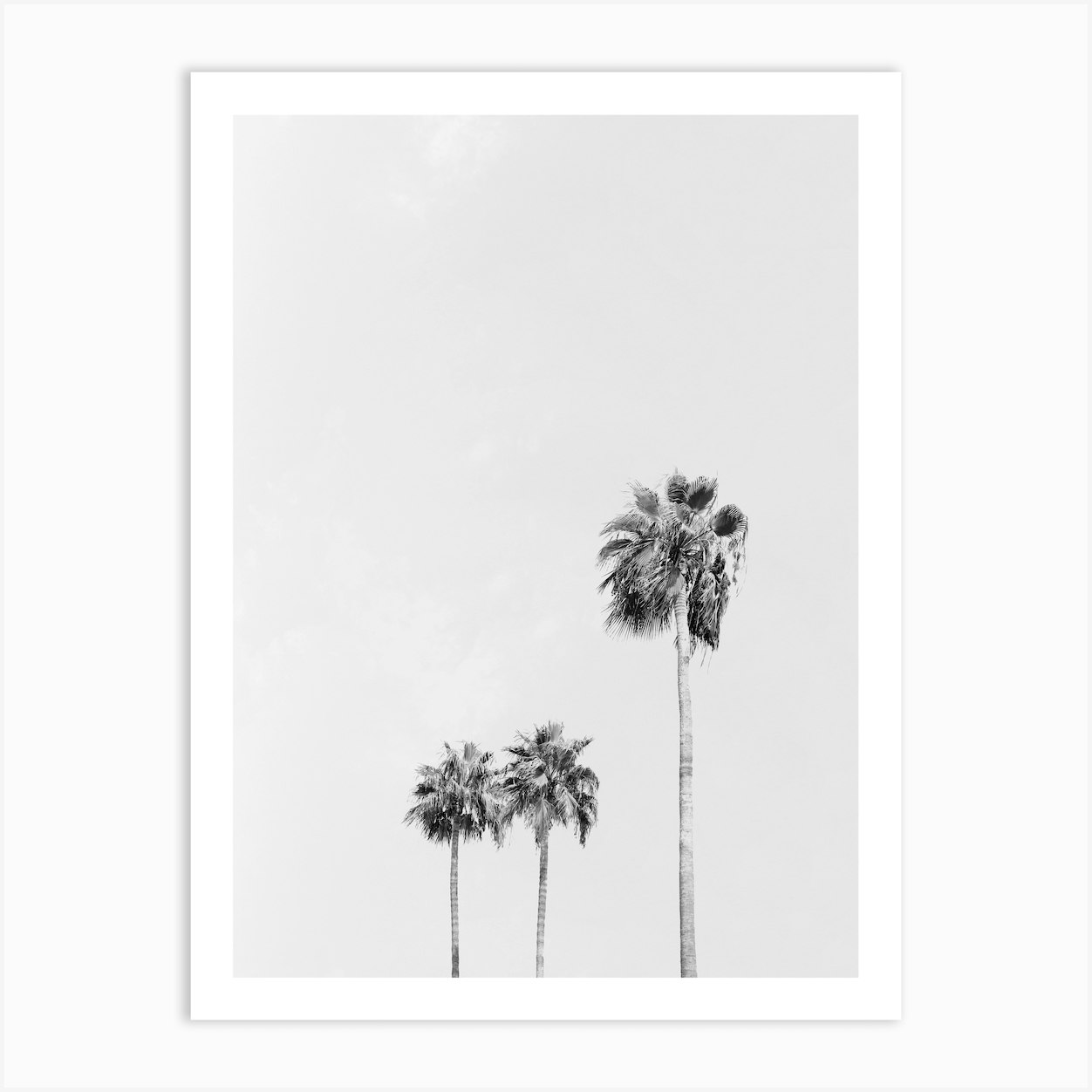 Three Palm Trees Art Print by Hearts in Colors - Fy