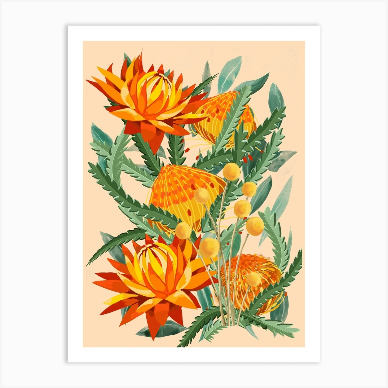 Orange Australian Native Flowers Art Print by Chrissy Ink - Fy