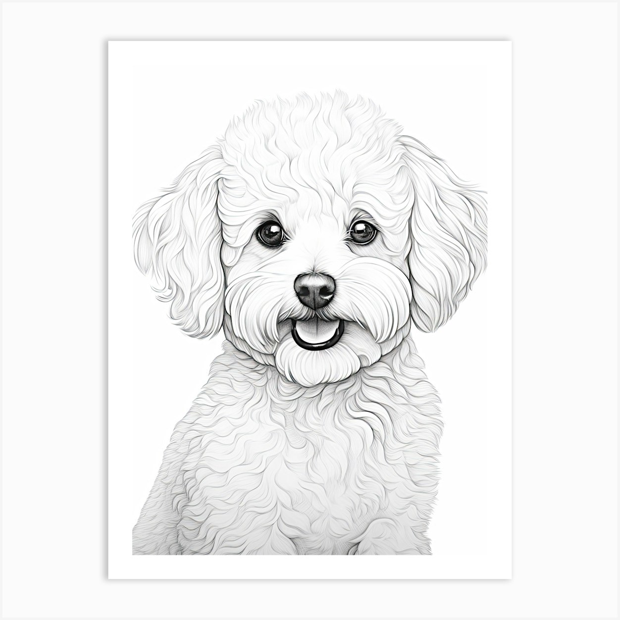 Bichon Frise Dog, Line Drawing 4 Art Print By Pooch Prints - Fy