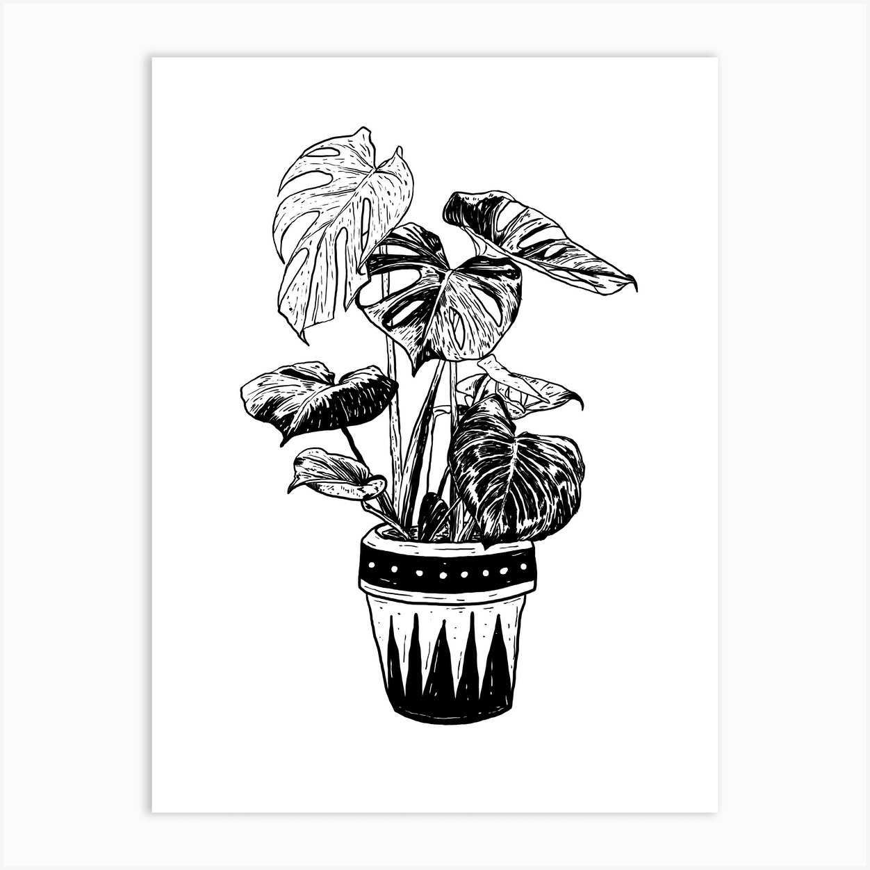 Monstera Art Print by Nick Cocozza - Fy