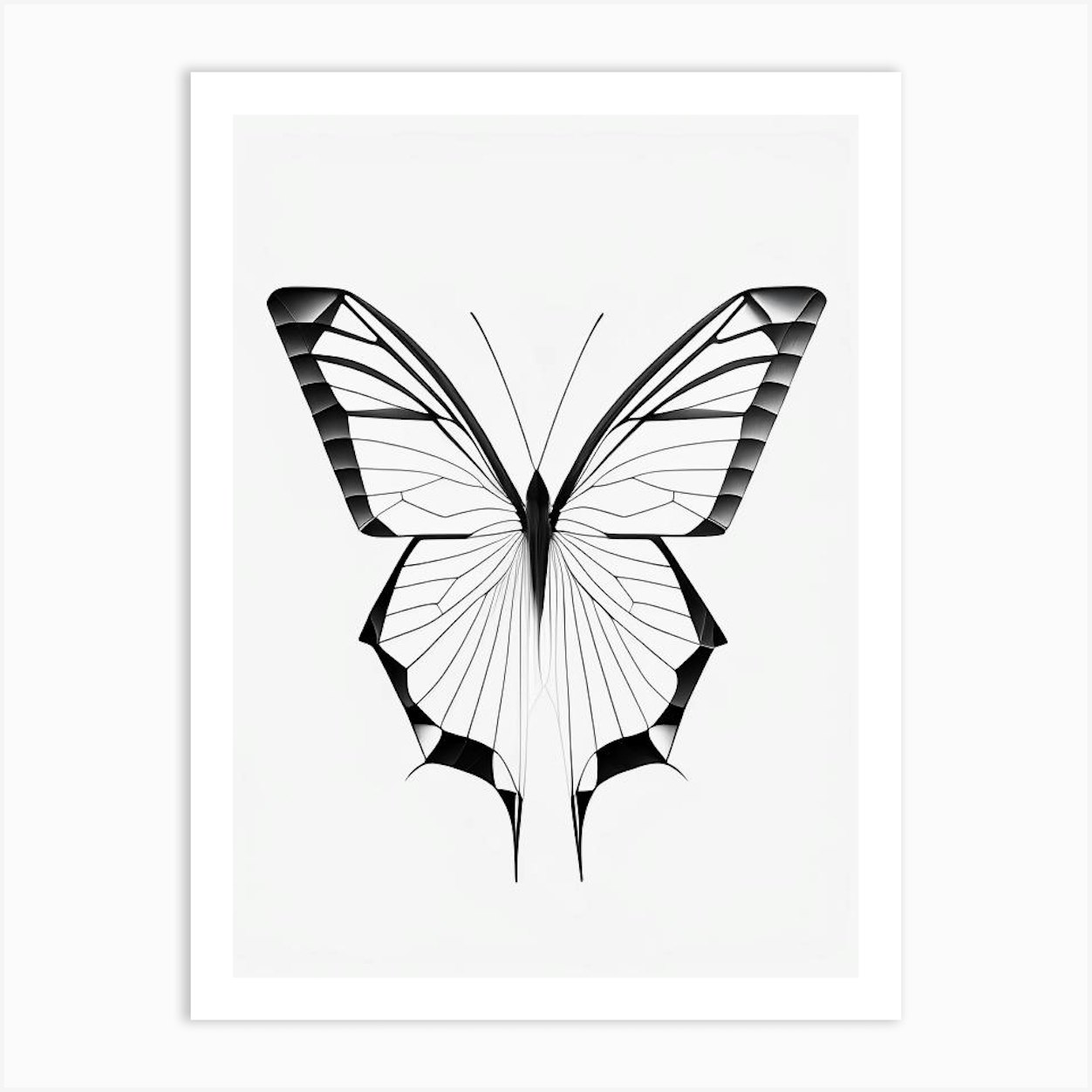 Butterfly Outline Black & White Geometric 1 Art Print by Papillon ...