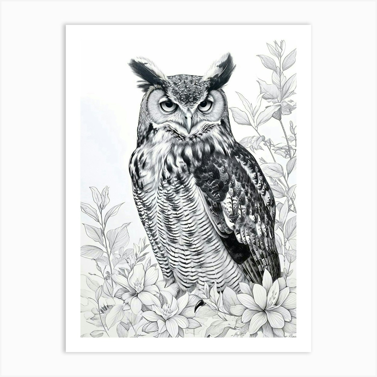 Philipine Eagle Owl Drawing 1 Art Print by Feathered Muse - Fy