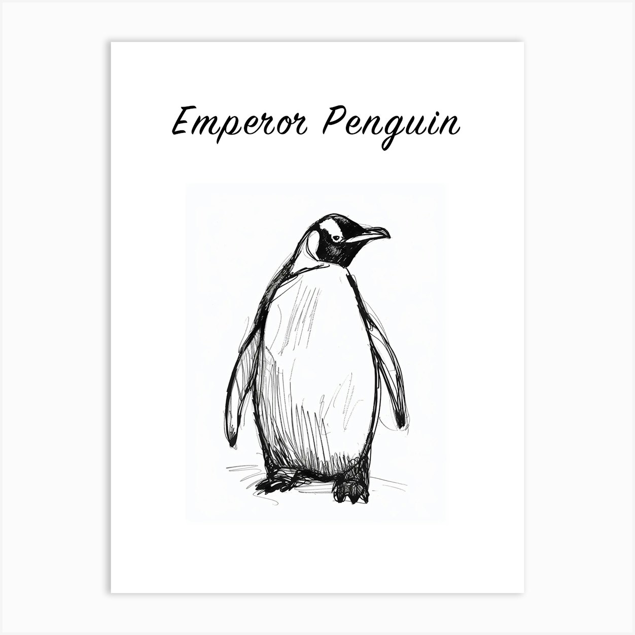 B&W Emperor Penguin Poster Art Print by Scribble Studio - Fy