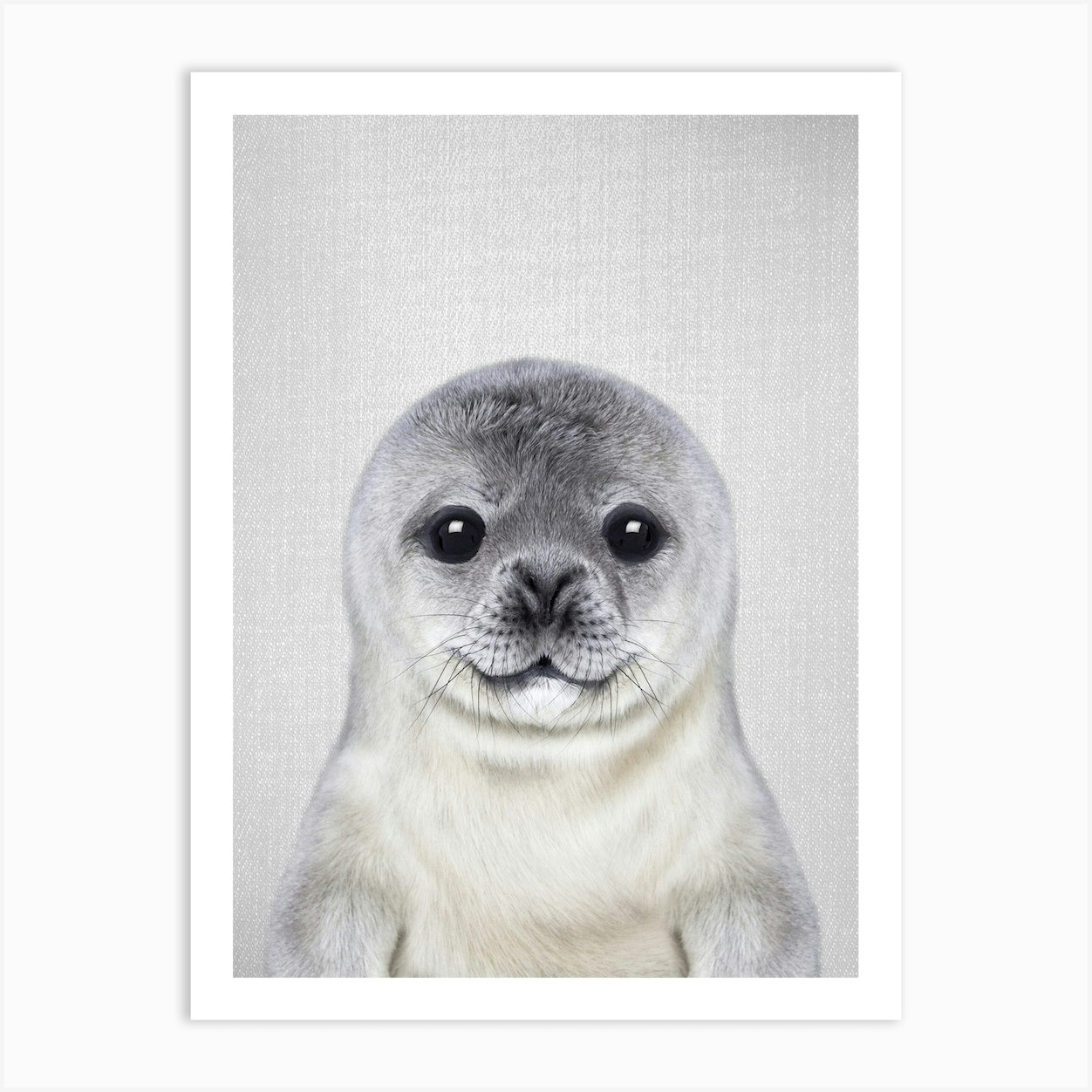 Baby Seal Art Print by Gal Design - Fy