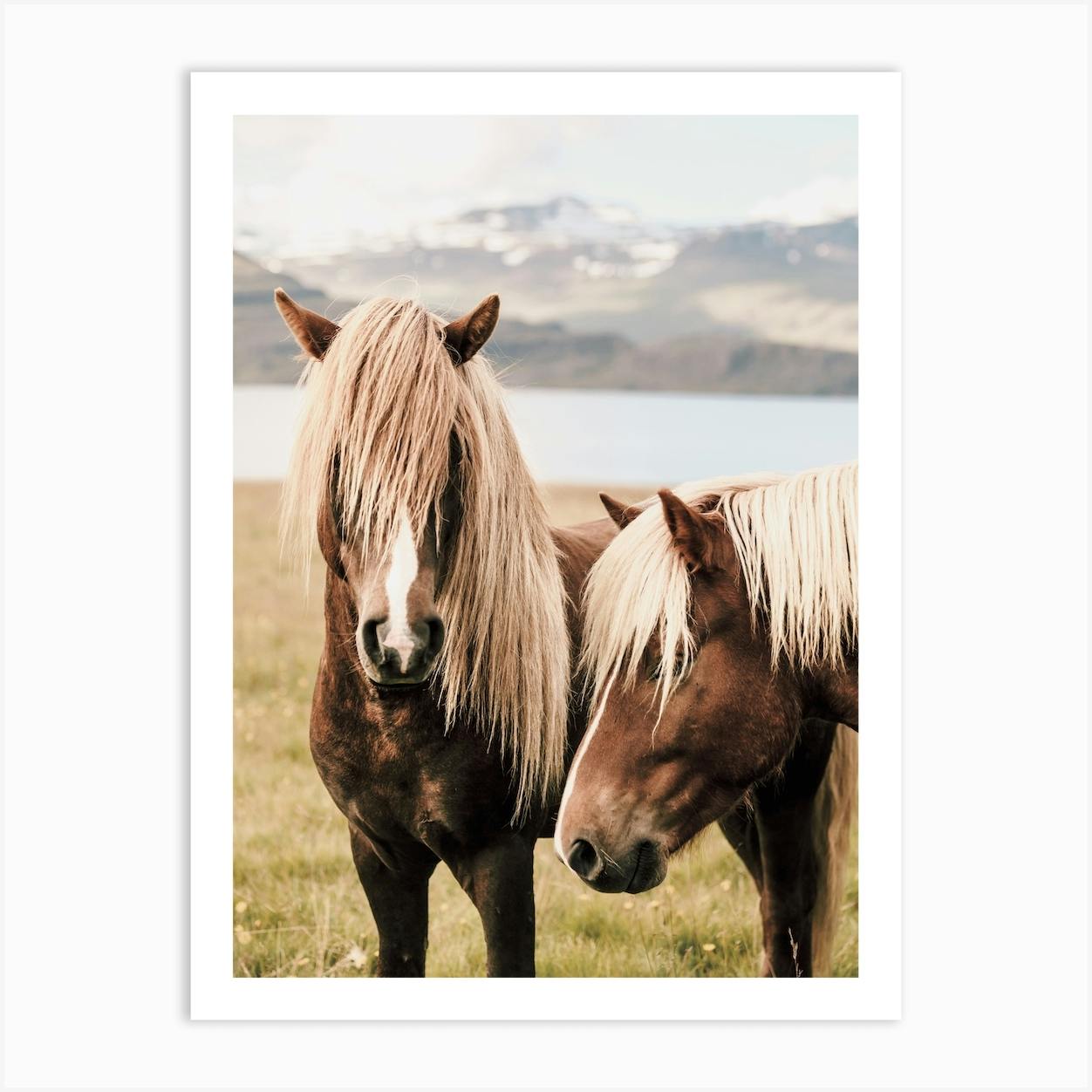 Wall stickers horses top