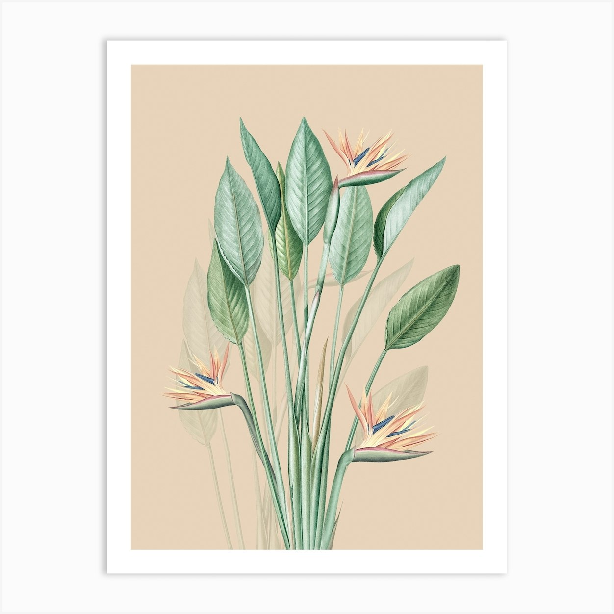 Vintage Jungle Paradise Flower Art Print by Bloomery Decor - Fy