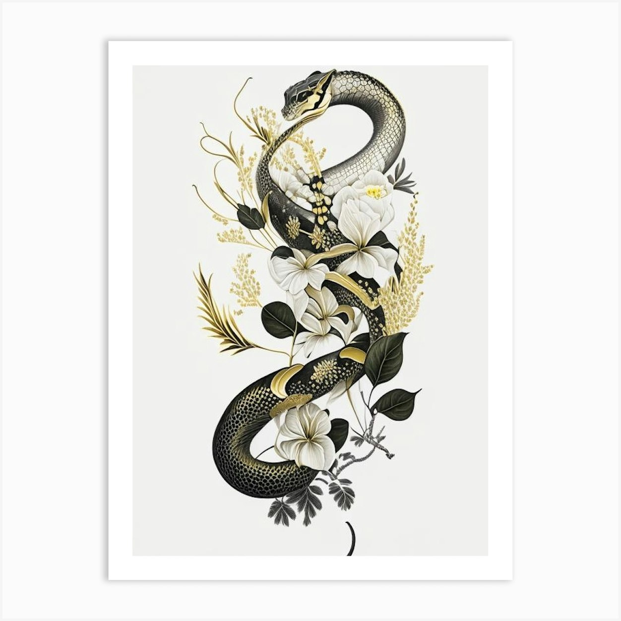 Boomslang Snake Gold And Black Art Print by The Snake Pit - Fy