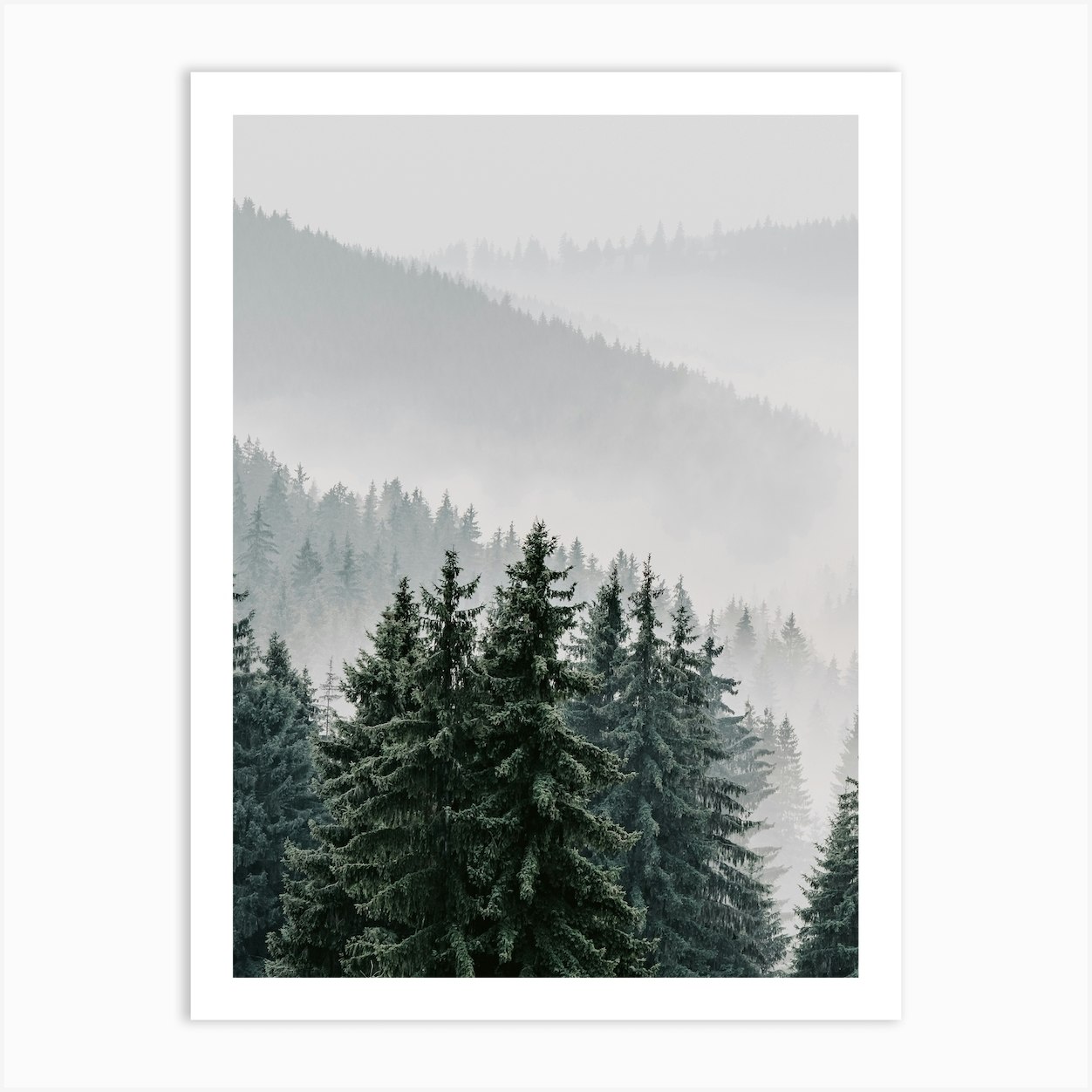 Mountain Forest Fog Art Print by Valley Grove - Fy