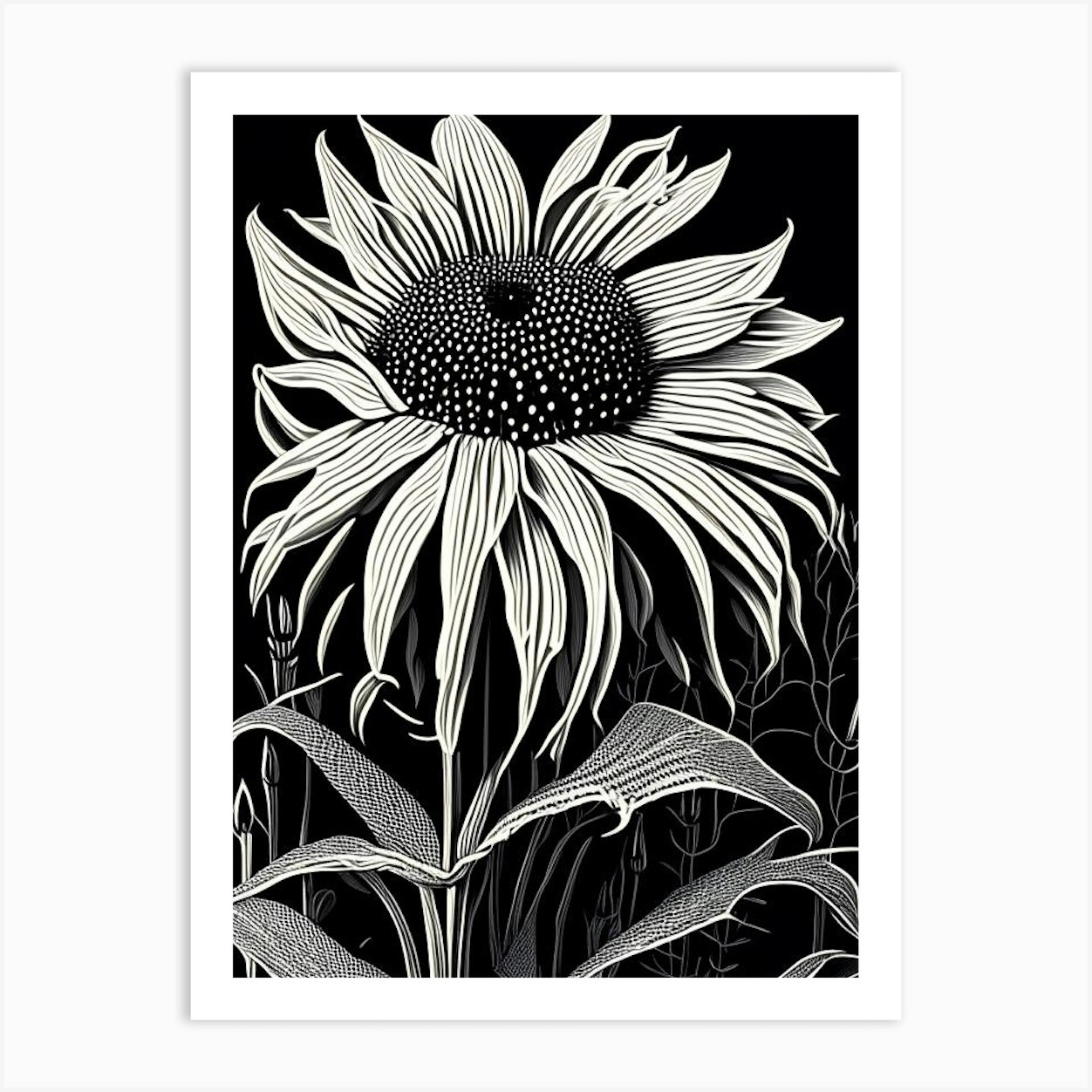 Coneflower Wildflower Linocut 2 Art Print by Wildflower Studio - Fy