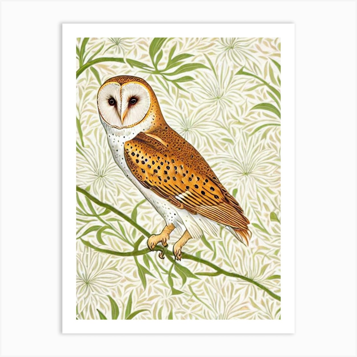 Barn Owl William Morris Style Bird Art Print by Featherline - Fy