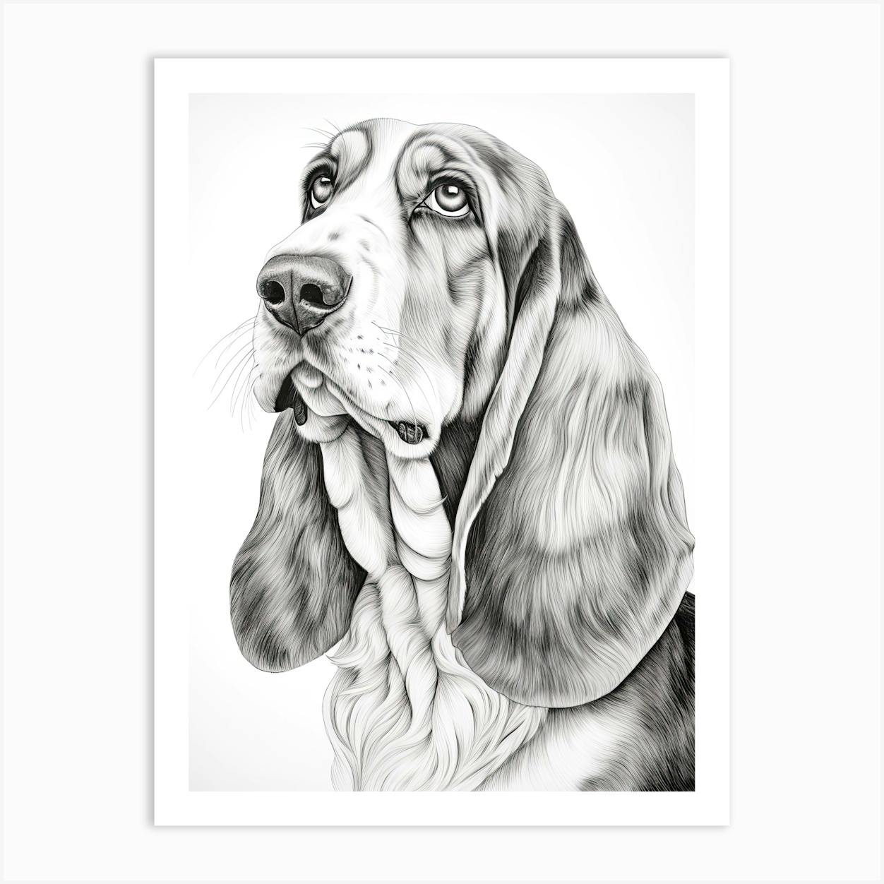 Basset sales hound artwork