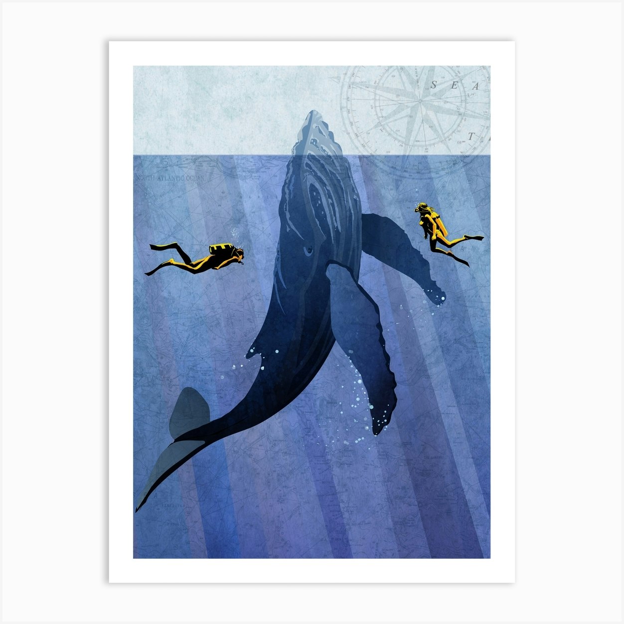 Scuba Whale Dive Art Print by SF Design Studio - Fy