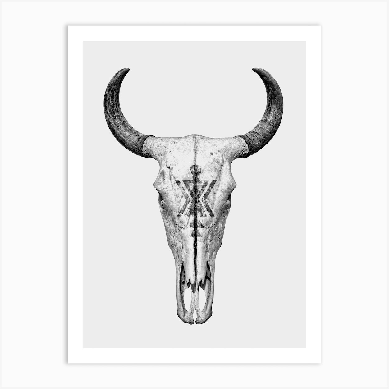 Cow Skull Art Print by Gal Design - Fy