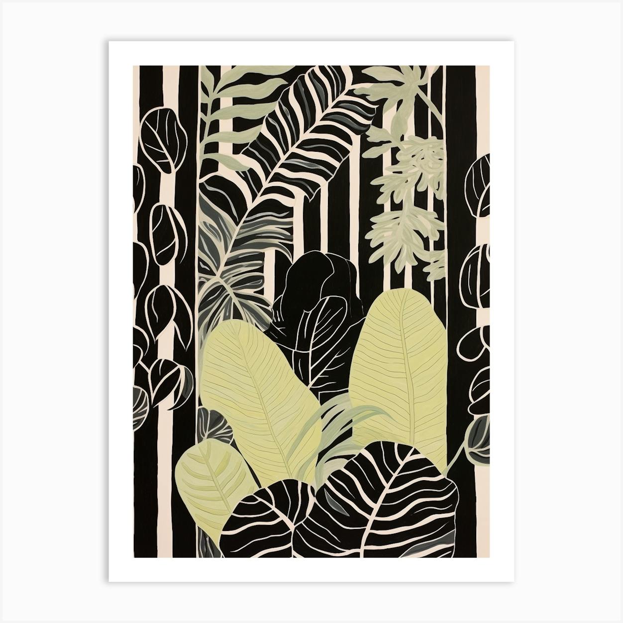 B&W Plant Illustration Calathea Art Print By Botanic Studio - Fy