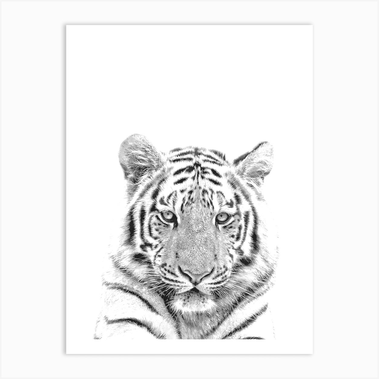 Black and White Tiger Art Print by Alemi Fy