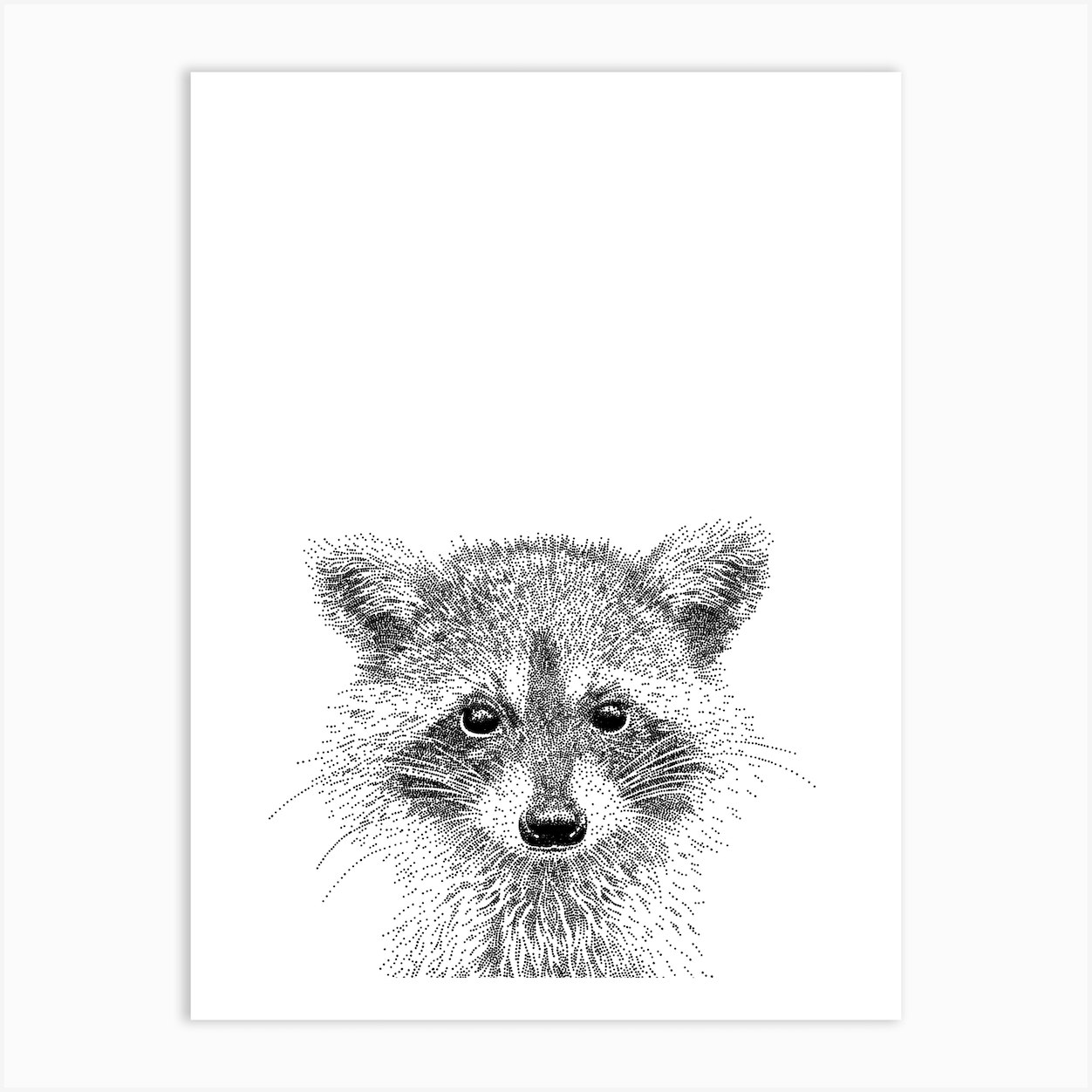 Raccoon Animal Print Art Print by Bamber Prints - Fy