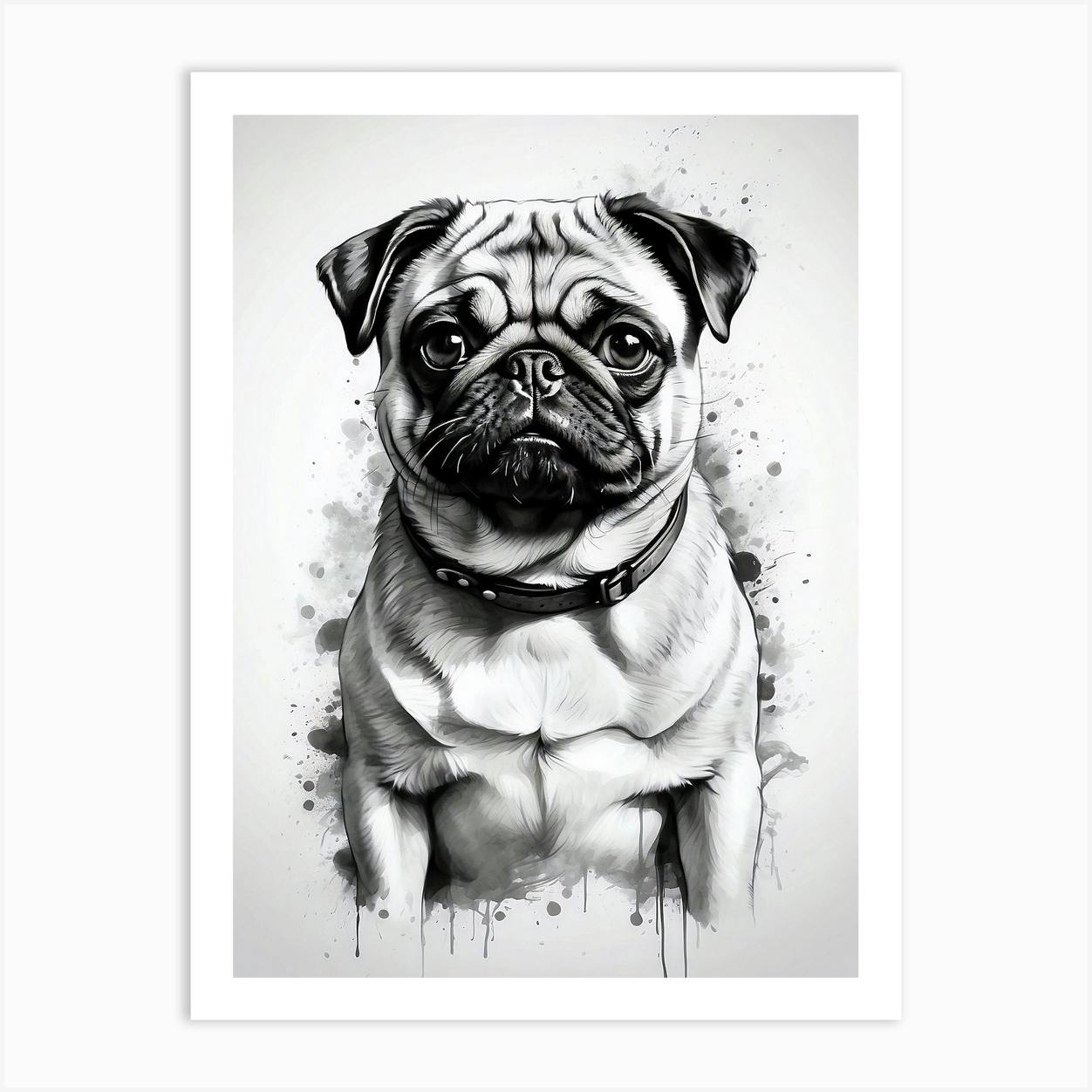 Quikr store pug dog