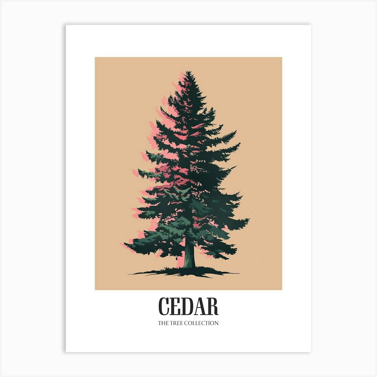 Cedar Tree Colourful Illustration 1 Poster Art Print by Bough And Bloom ...