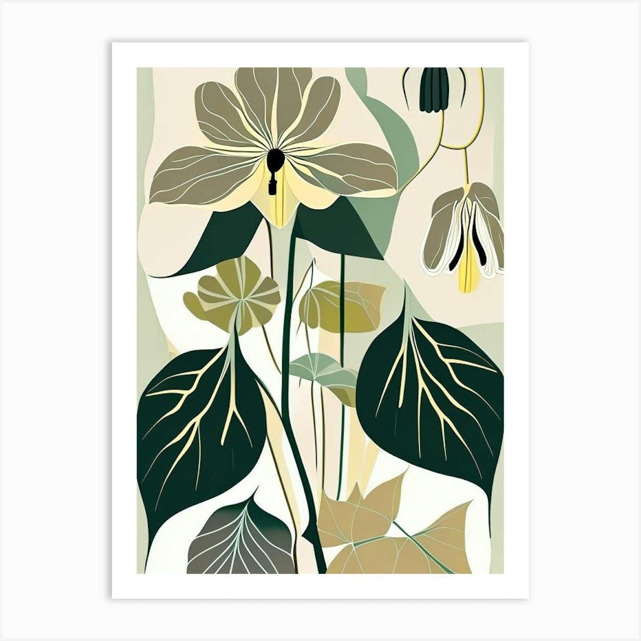 Mayapple Wildflower Modern Muted Colours 2 Art Print by Wildflower ...