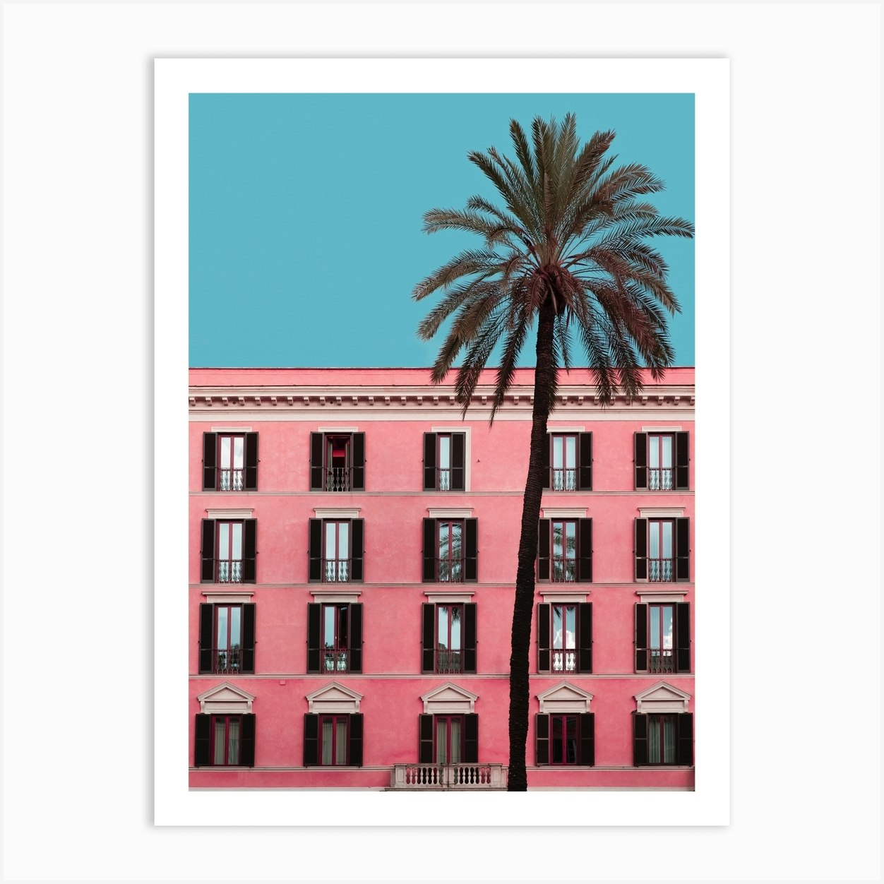Pink Palm Art Print by A Carousel Wandering - Fy
