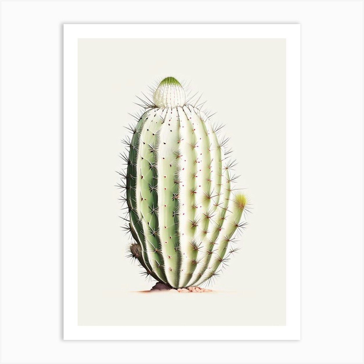 Acanthocalycium Cactus Marker Art 1 Art Print by Wild West Art Prints - Fy