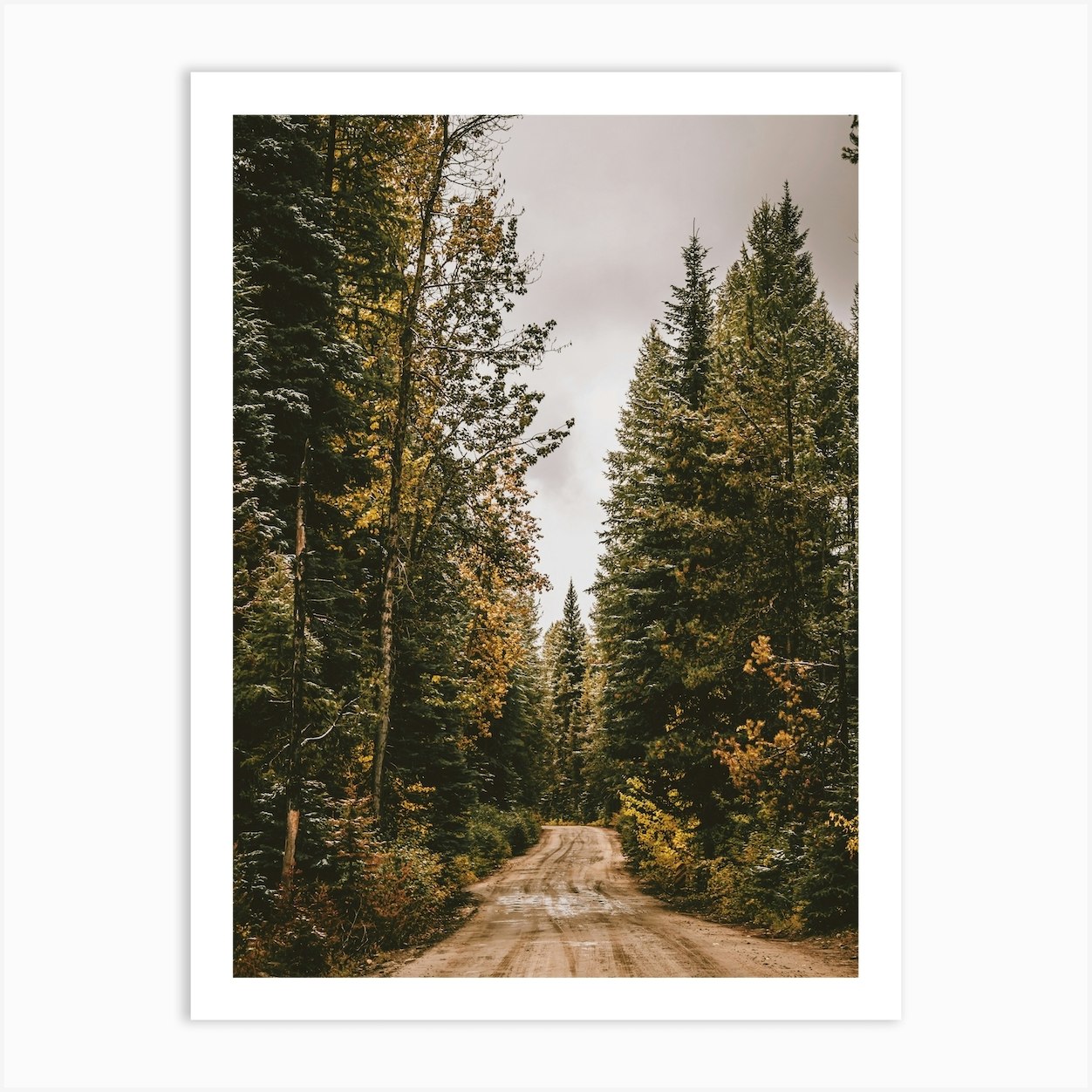 Woodland Forest Road Art Print by Inkish Prints - Fy