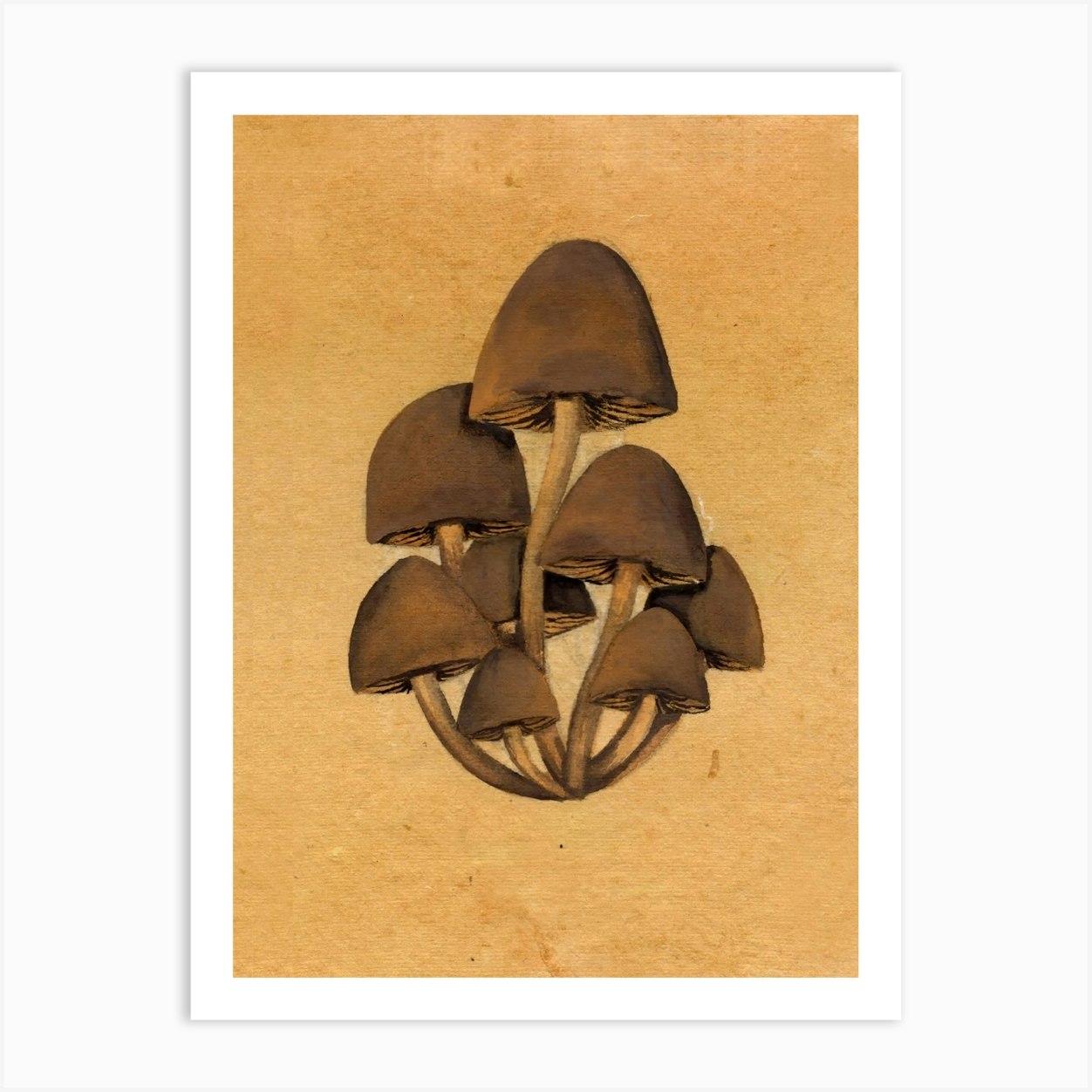 Beech Mushrooms Nature Art Print by Vaishali Sahu - Fy