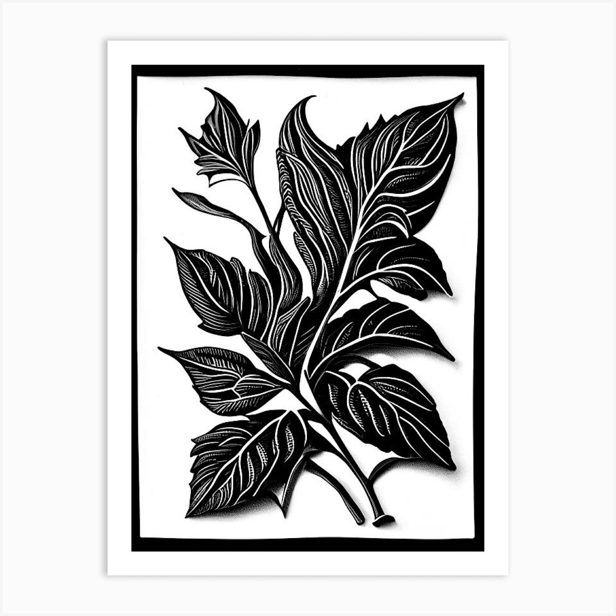 Stevia Leaf Linocut 2 Art Print by Leaf & Stem Studio Fy