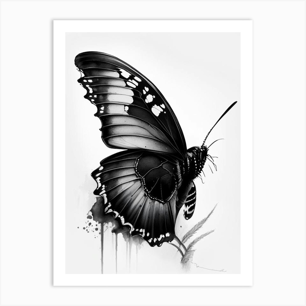 Black Swallowtail Butterfly Graffiti Illustration 3 Art Print by ...