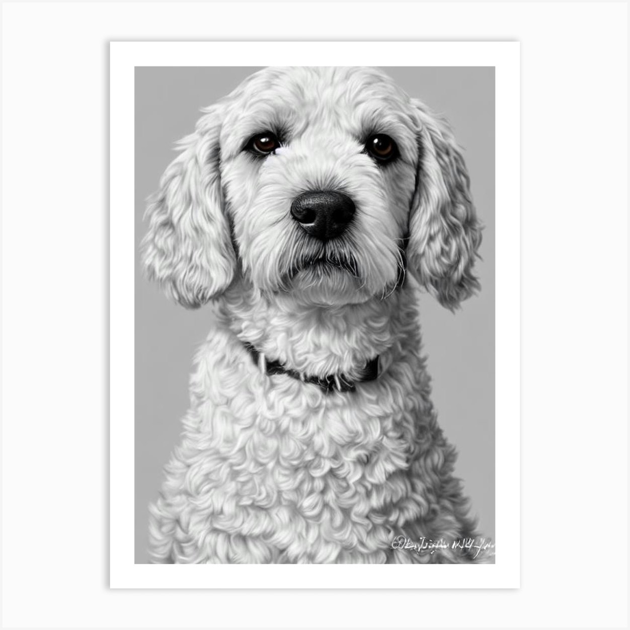 Lagotto Romagnolo B&w Pencil Dog Art Print By Pooch Prints