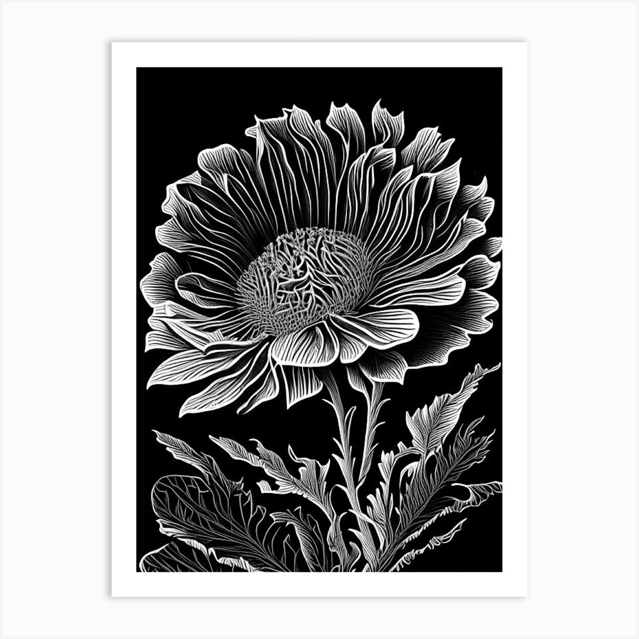 Calendula Leaf Linocut 6 Art Print by Leaf & Stem Studio - Fy