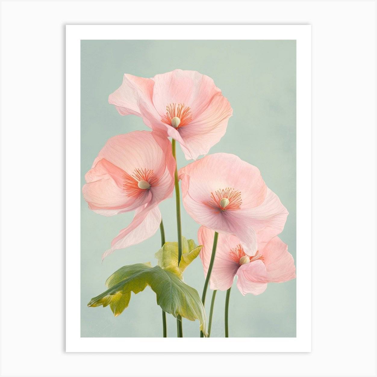 Anthurium Flowers Acrylic Pastel Colours 2 Art Print by Fusion Designs - Fy