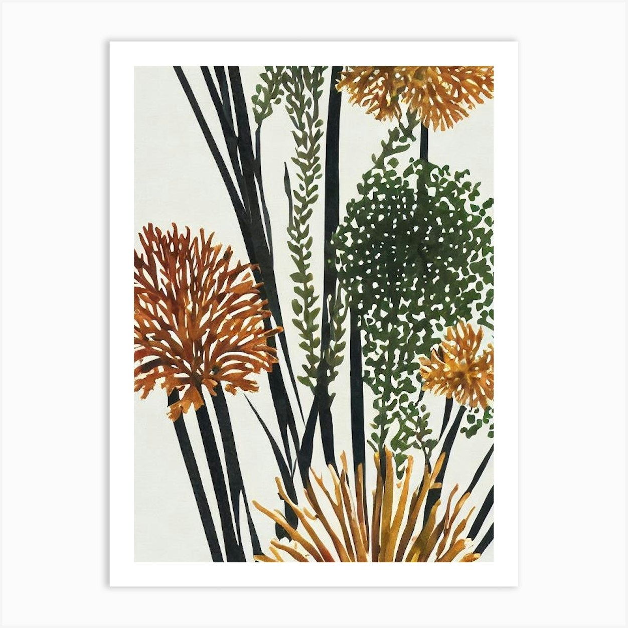 Acropora Cytherea Vintage Graphic Watercolour Art Print By Reef 