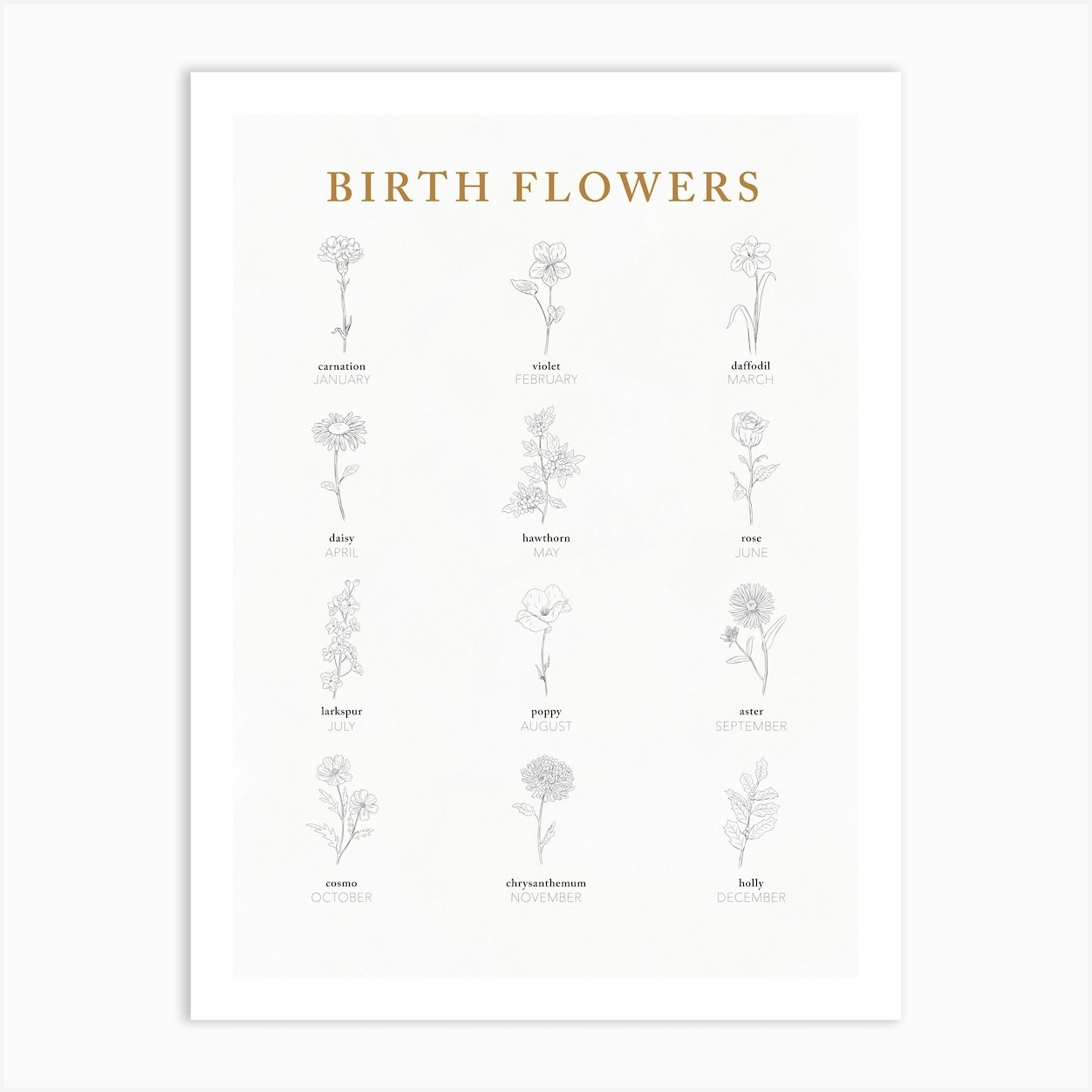 Birth Flowers Chart Art Print By Ink Wild Designs - Fy