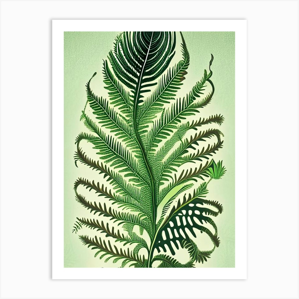 Tassel Fern 2 Vintage Botanical Poster Art Print by Ferntastic Prints - Fy