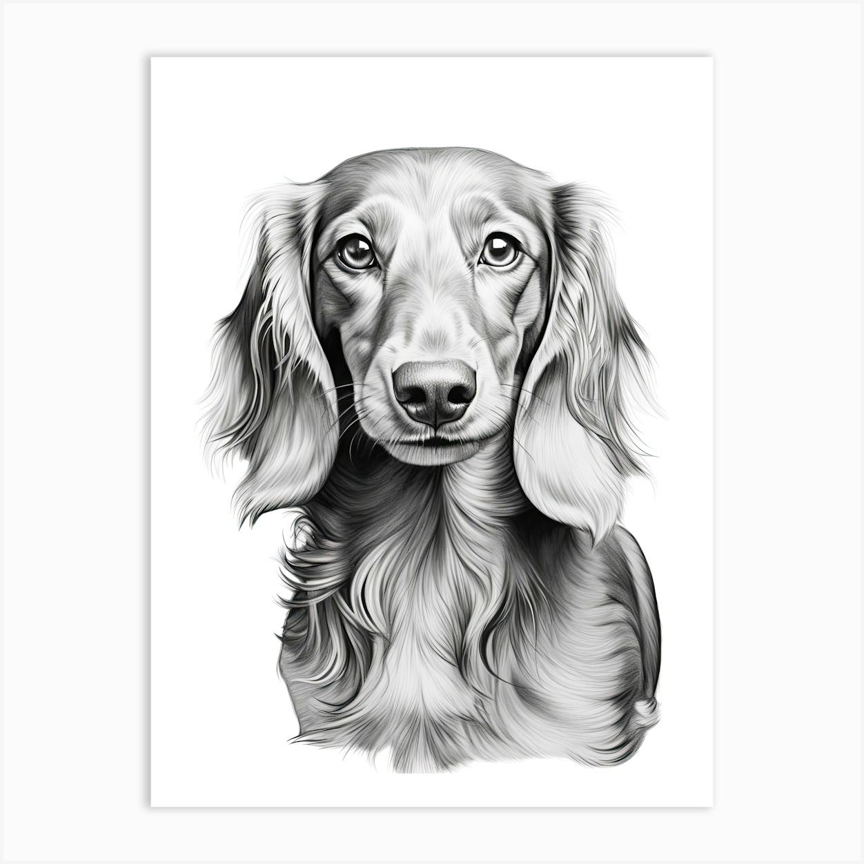 Dachshund best sale line drawing