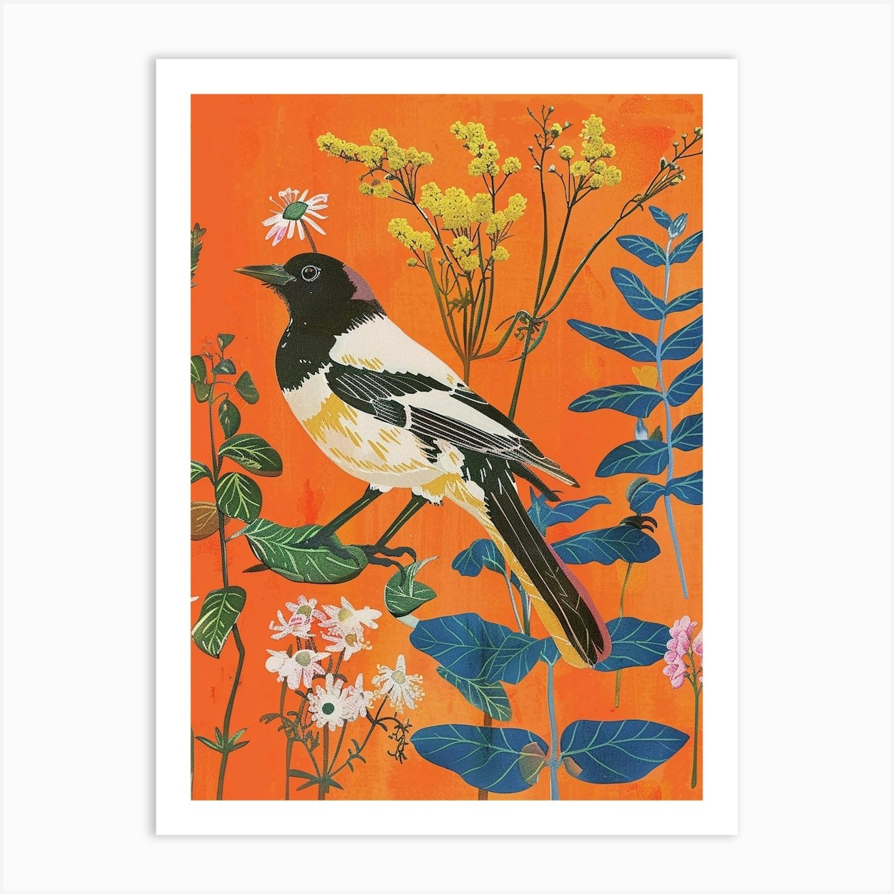 Spring Birds Magpie 1 Art Print by Feathered Muse - Fy