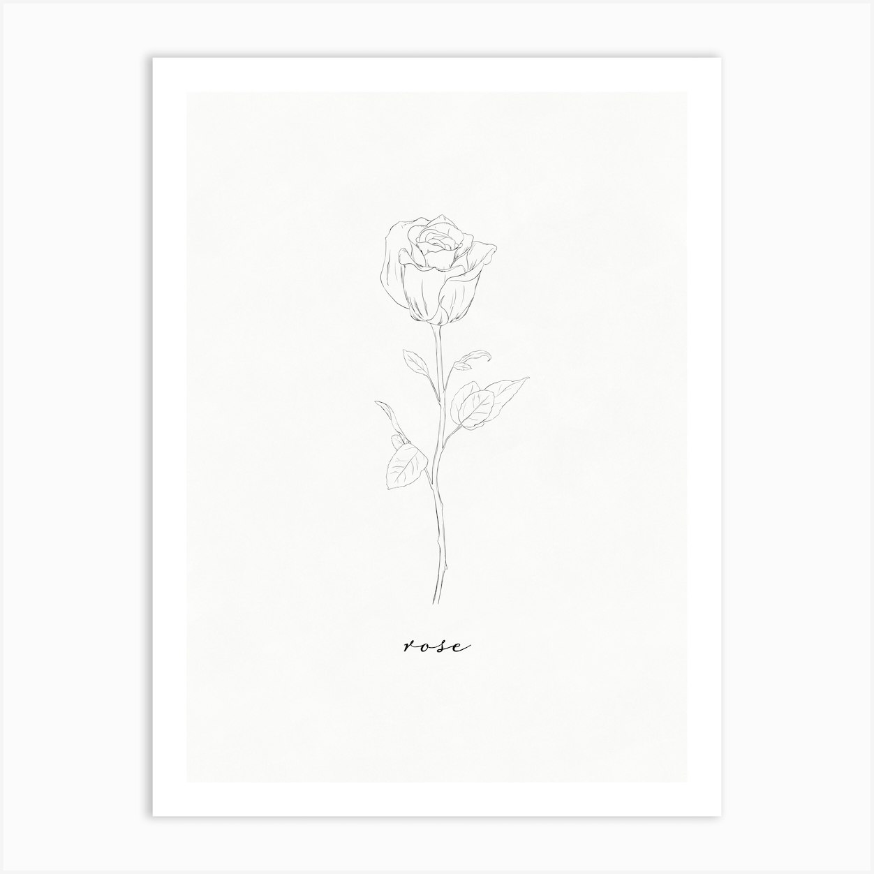 Rose Line Drawing Art Print by Ink Wild Designs - Fy