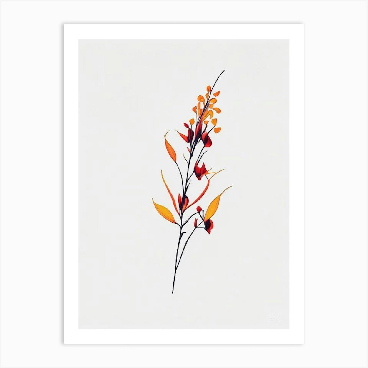 Firethorn Floral Minimal Line Drawing 3 Flower Art Print by The Artsy ...