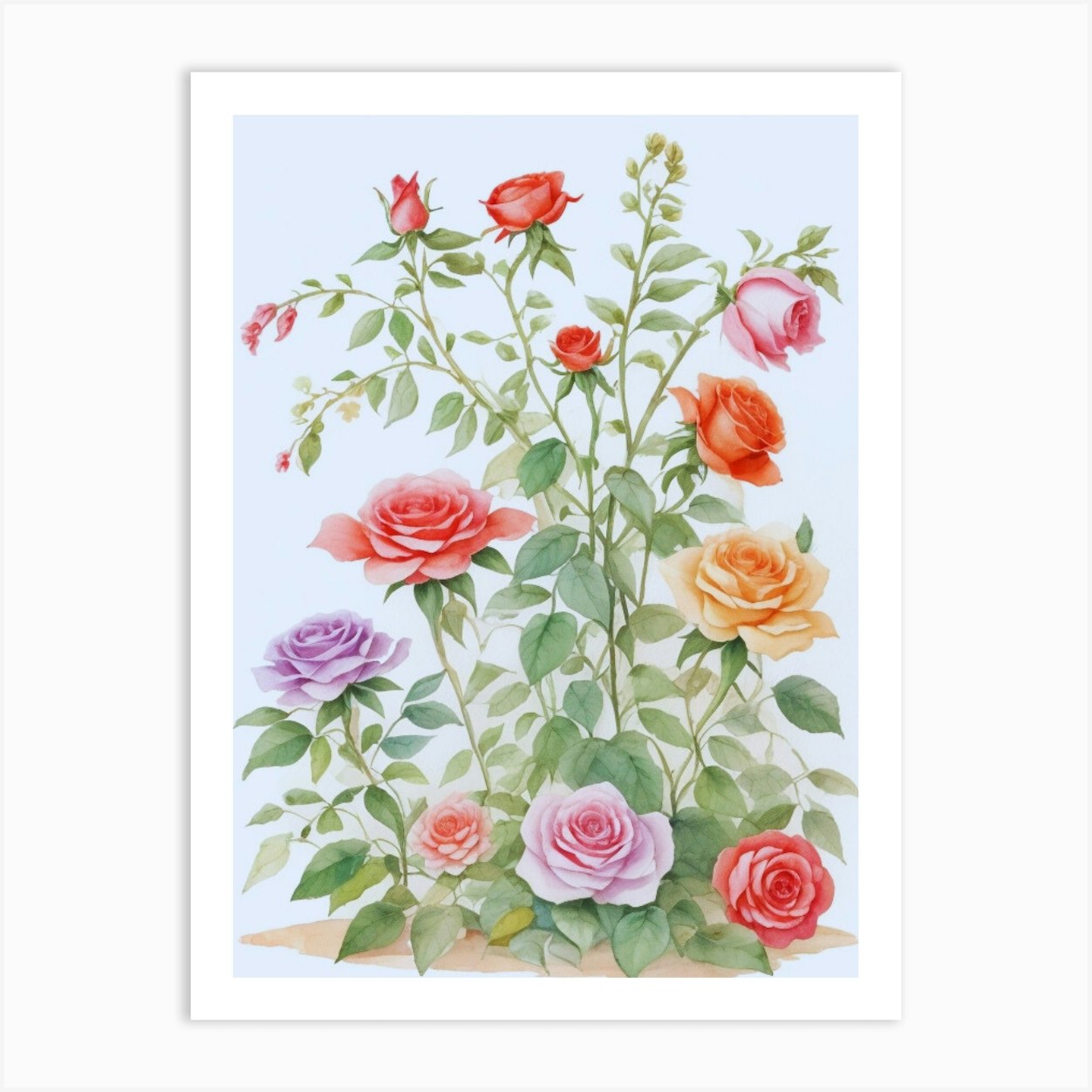 Watercolor Beautiful Roses Art Print by Artistcom - Fy