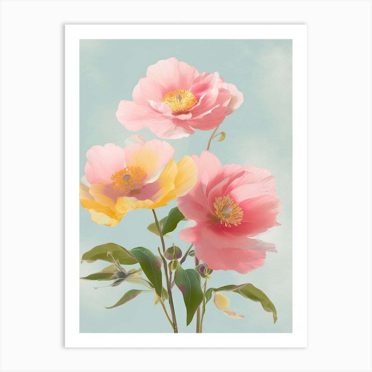 Camellia Flowers Acrylic Pastel Colours 4 Art Print by Fusion Designs - Fy