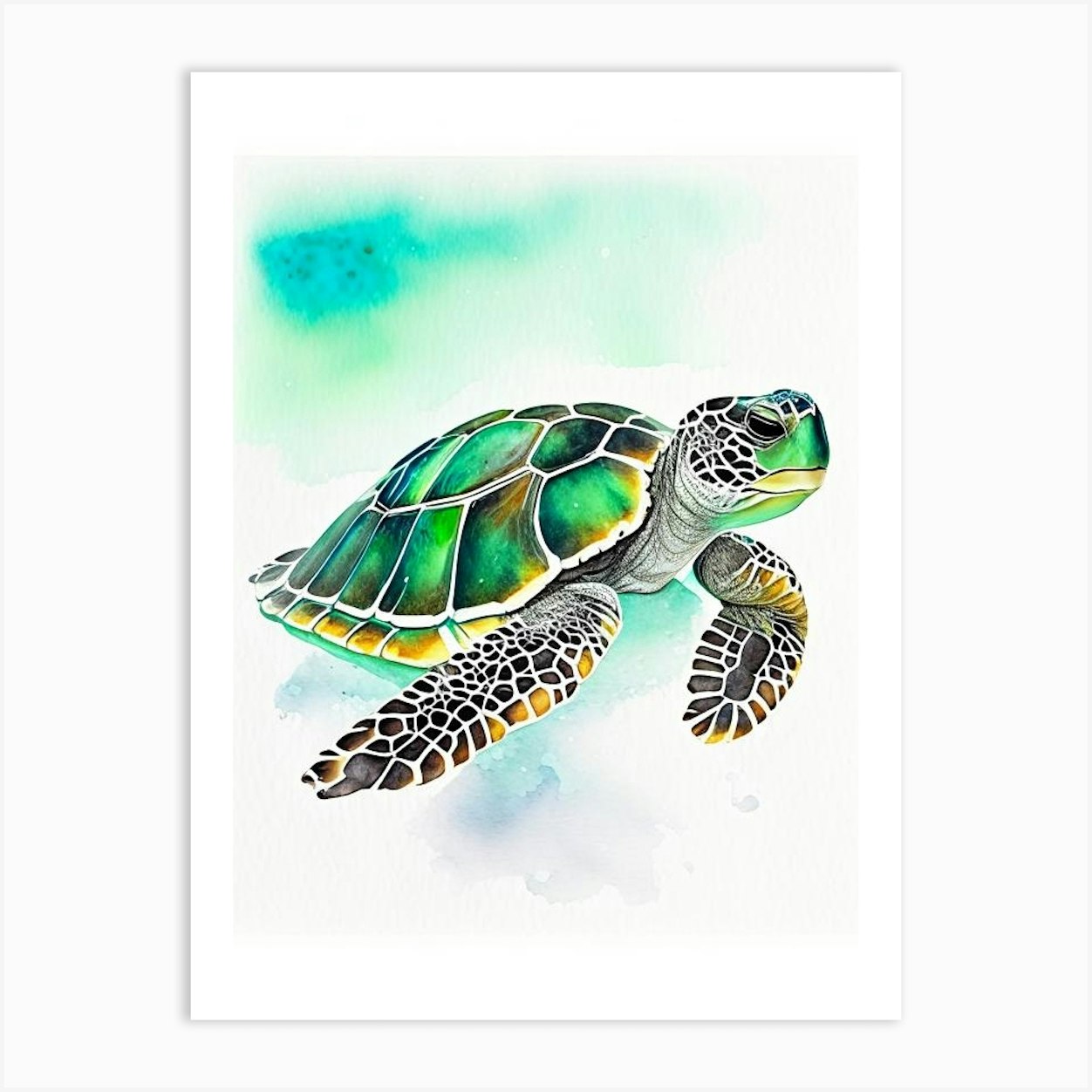 Flatback Sea Turtle (Natator Depressus), Sea Turtle Watercolour 2 Art ...