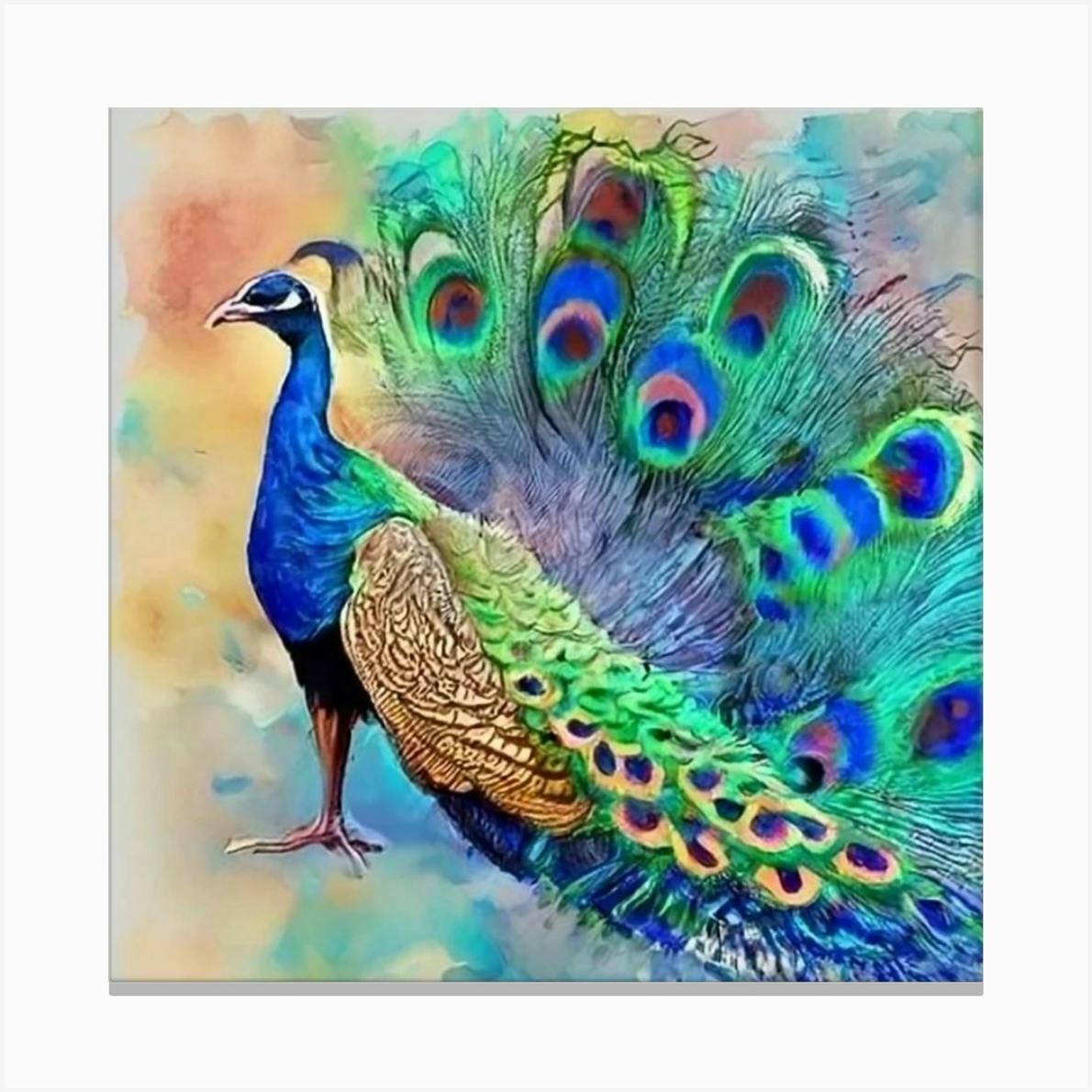 Peacock canvas painting discount