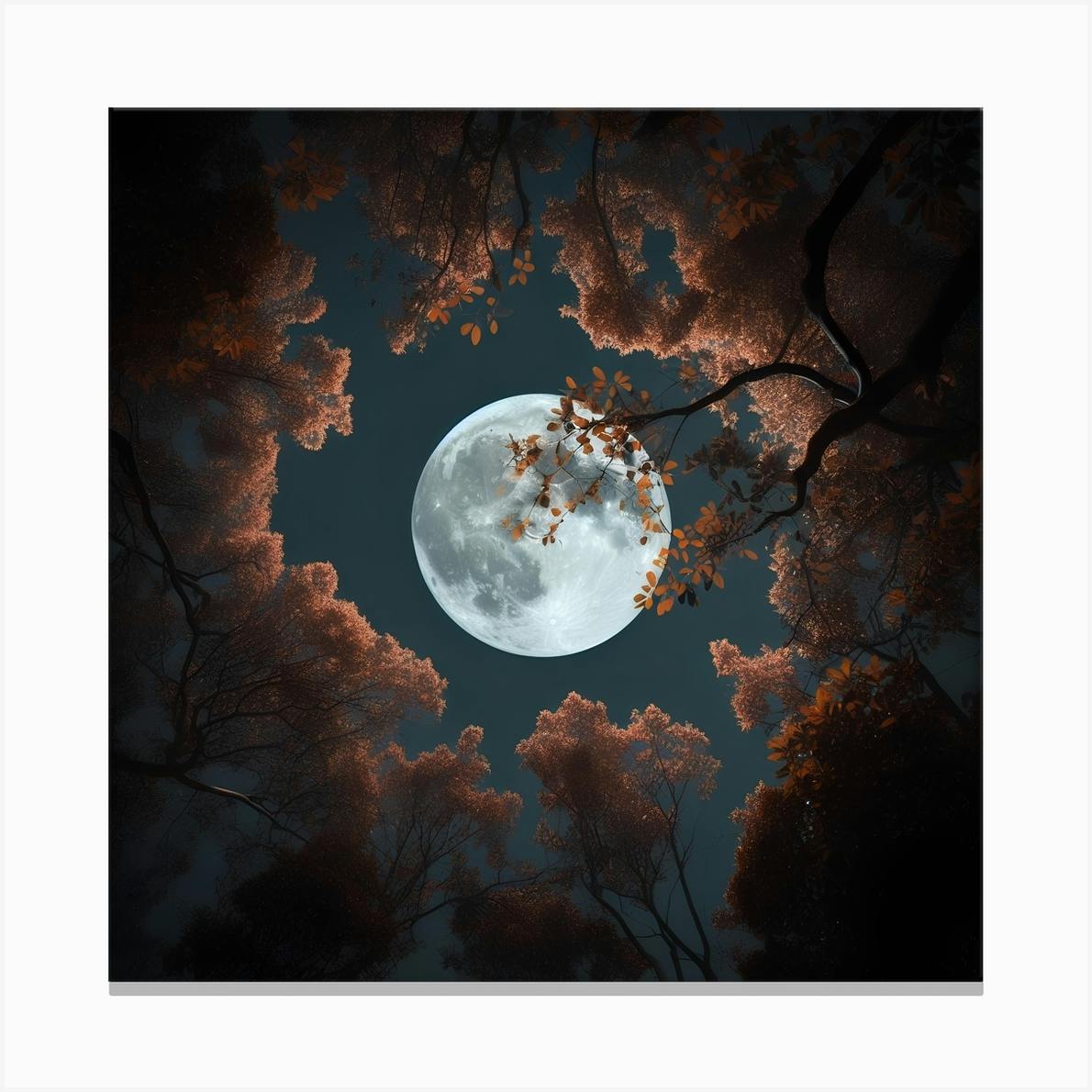 芸術写真 Nature Photograph Full Moon Art Print il_340x270.1691267292_q2mo.jpg