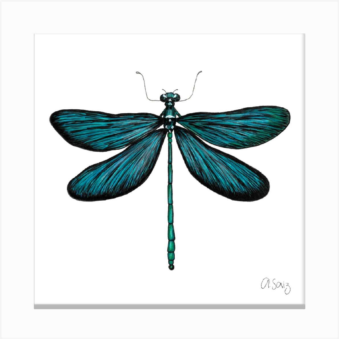 Blue Dragonfly. 1 Canvas Print by Ale Saiz Studio - Fy