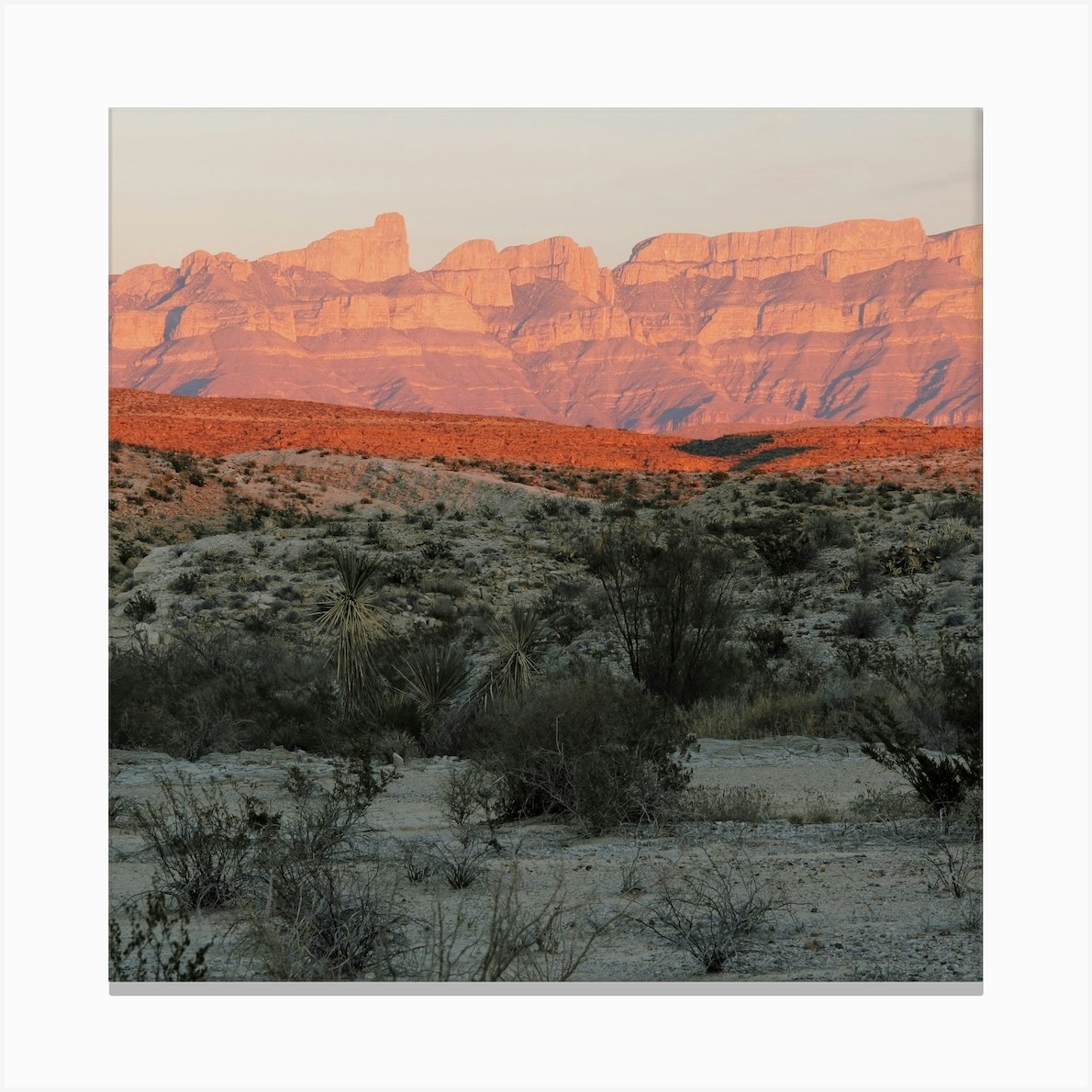 West Texas Desert Sunset Square Canvas Print by Boheme At Home - Fy