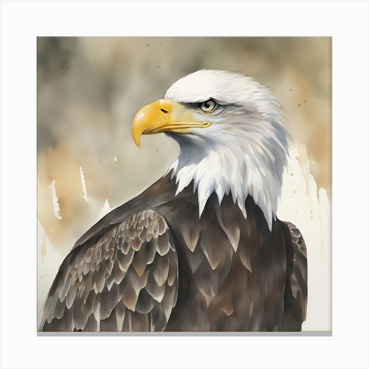 Watercolour Bald Eagle 3 Canvas Print by Two Six Media - Fy